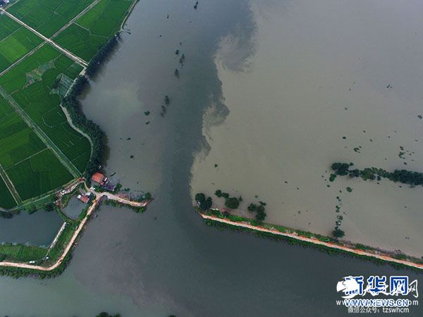 7月17日航拍的黄梅县濯港镇丁字街村考田河堤坝溃口。 新华社图