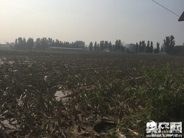 河北邢台洪灾：七里河大贤村安全隐患存在已久