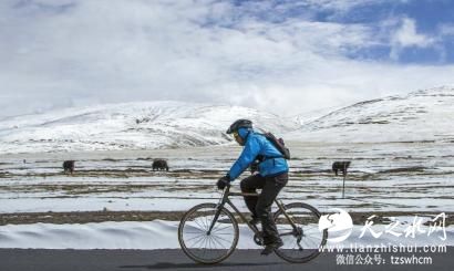 四川小伙用竹子造出自行车 一路骑行去拉萨