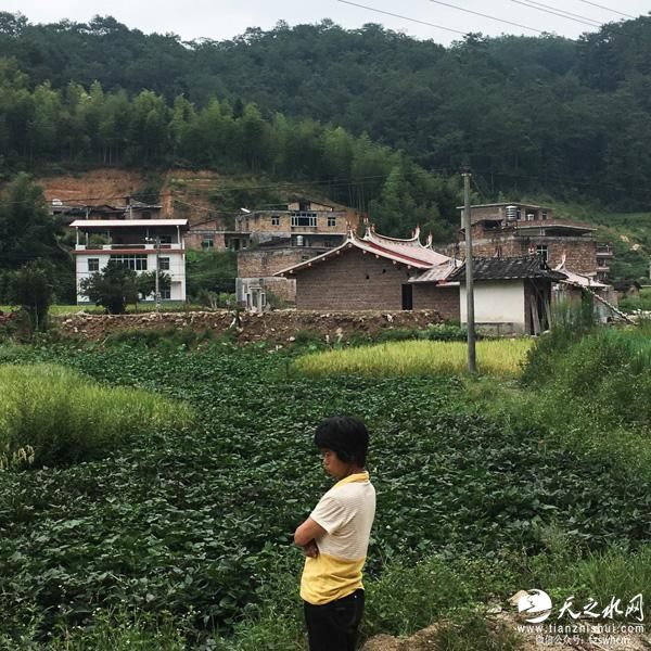 徐玉玉案嫌犯群像：人生不顺或缺钱 想快速谋财