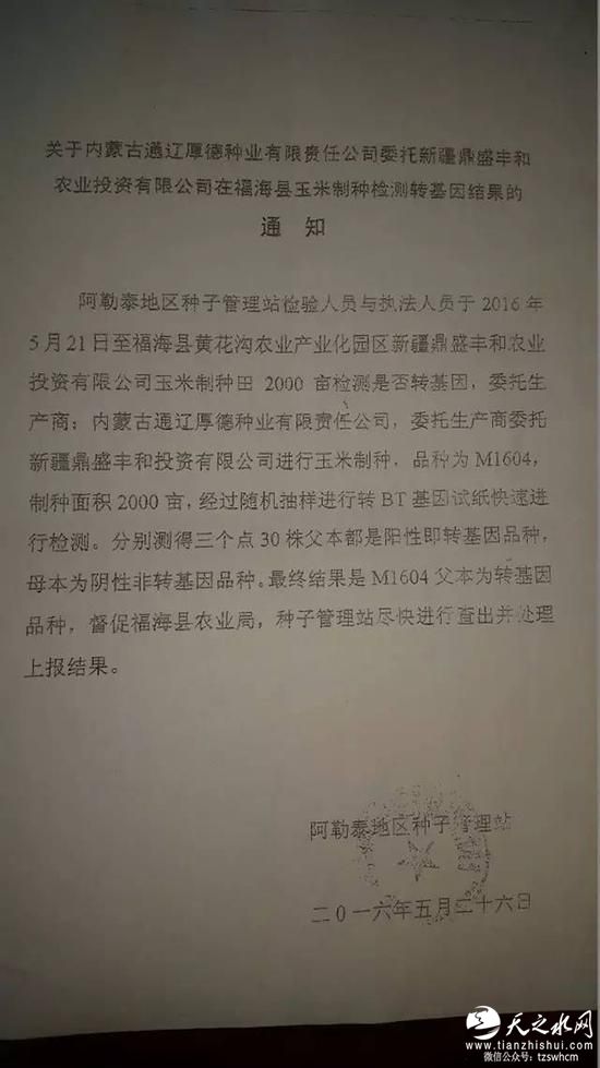 新疆铲除两千亩转基因玉米 专家呼吁切断种源