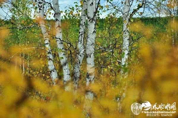 东北华北雨水频繁 西南多雨初显秋凉