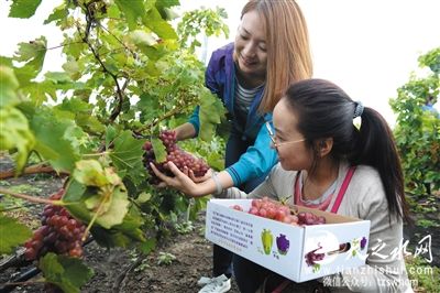 北京今年中秋或现云遮月 “十五月亮十七圆”