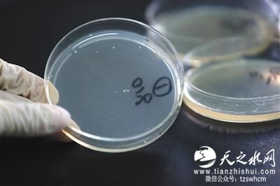 自制月饼调查：微生物超标 卫生状况堪忧