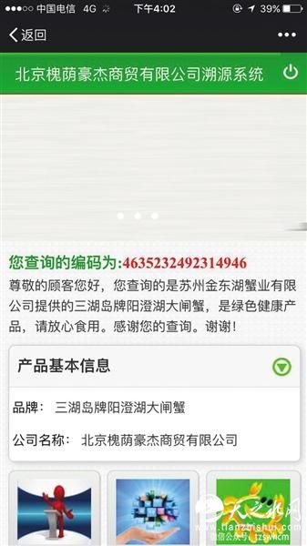 阳澄湖大闸蟹未开捕 假冒“李鬼”已面市