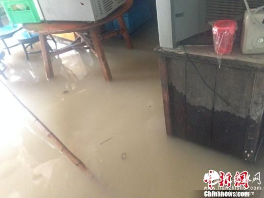 浙江宁波31.6万亩农作物受灾农牧业损失2.3亿元