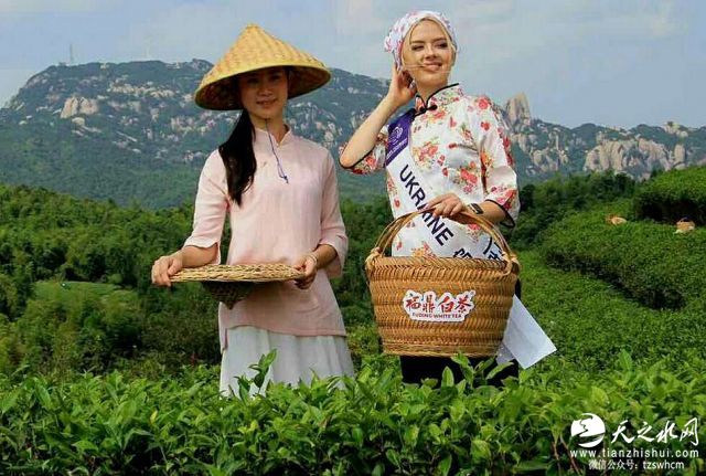 nEO_IMG_mmexport1474342418142