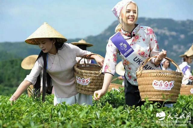 nEO_IMG_mmexport1474342558497