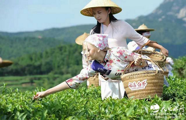 nEO_IMG_mmexport1474342555598