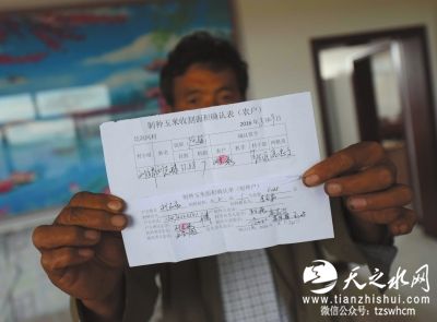 陕西靖边4000亩转基因玉米遭强铲