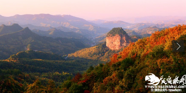 Z4L`$_RP{72%_UT0DLB6~DW