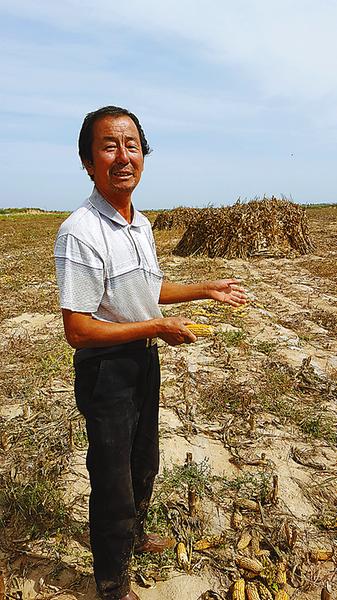 在铲倒的70亩地里，陈兆文老人一脸苦愁。