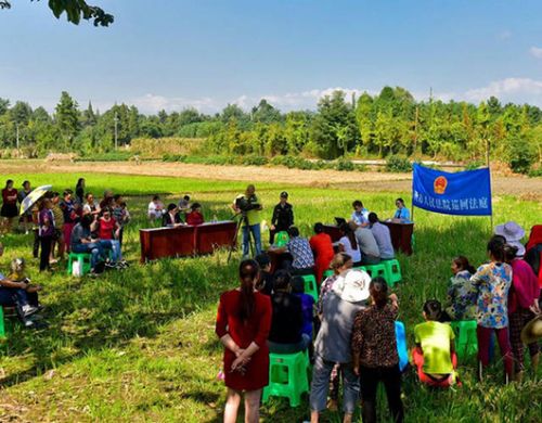 四川：73岁老母亲状告儿女 庭审开在田坝里