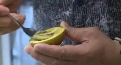 “金身不腐”的猕猴桃难道能长生不老？于是，记者和高先生找到了店家，一探究竟！高先生切开尝了尝，和其他猕猴桃比，味道有点发硬，但没有一点腐败的味道。 （来自：现代快报）