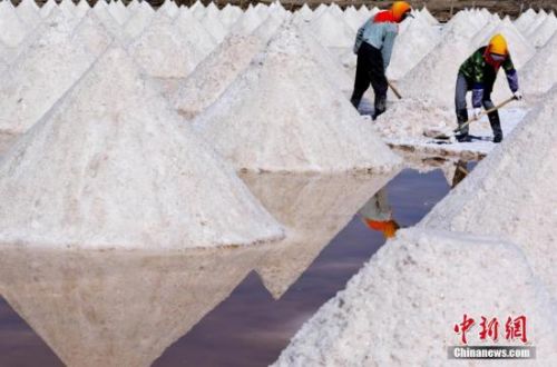 资料图：9月，甘肃省张掖市高台县进入原盐开铲最忙季节，农民紧抓天气晴好的有利时机，将已晒好的原盐进行开铲集中和拉运。高台县原盐储量1168万吨，为甘肃省最大产盐区。据史料记载，高台早在汉代就盛产芒硝和原盐，距今已有千年的历史。 王将 摄
