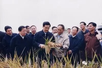 考察中，胡锦涛肯定了袁隆平等人作出的贡献。