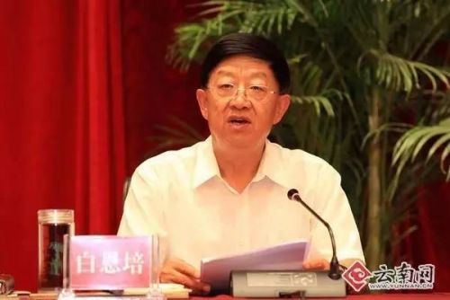 但对白恩培而言，却不得不把“牢底坐穿”。王永杰律师表示，在服刑过程中，白恩培可能会出现生病、需到监外就医等情况，但因为被判终身监禁，在执行中的监外就医会非常严格，只要他身体条件允许就要在监狱服刑。