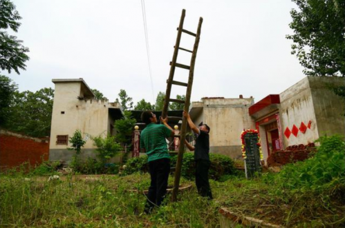 图中竖立梯子的位置，是大学生“鸟案”的第一案发现场。但法院曾认定的地点并不在此。