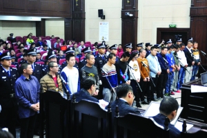 庭审现场，15名被告均是80后、90后野生动物爱好者，其中不乏在校大学生和医生等高学历者