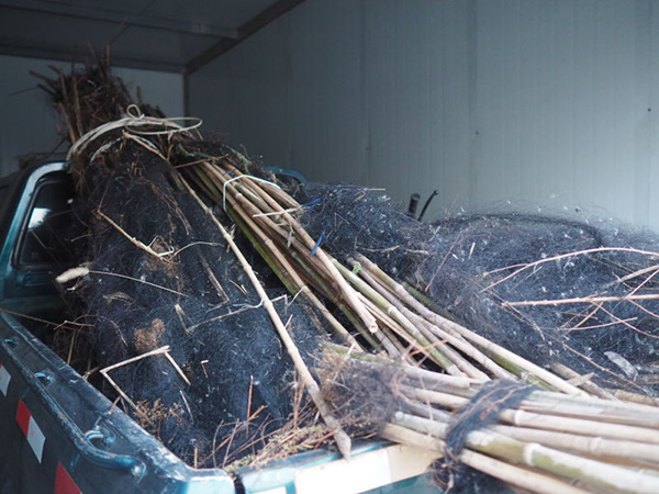 天津副市长开会研究“万米网海捕鸟”案，警方已抓获2名嫌犯