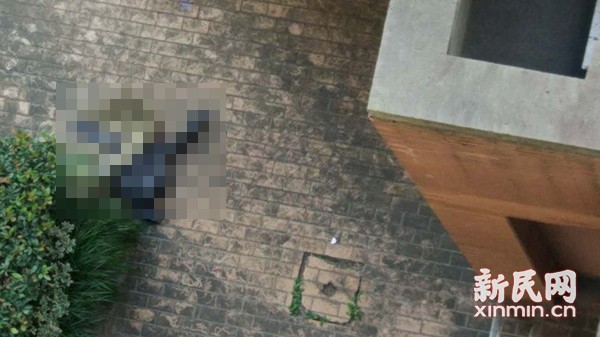 图为女子坠楼事发现场。 文内图均来自新闻网