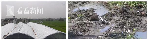 而就在两个月前，这里还是遍地油污，臭气熏天。环保部门取样检测后发现，现场地表水样本中，二氯甲烷超标1240倍，甲苯超标9倍，而空气中，二氯甲烷超标40倍，甲苯超标15倍。