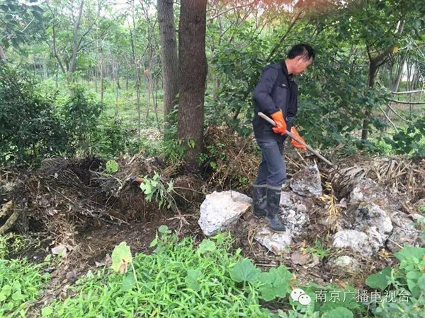 大家正在分段找蛇