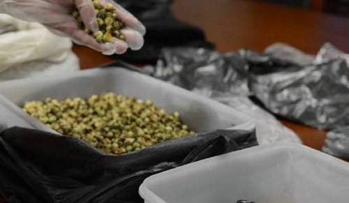 一斤半水果要价6000元！小伙子稀里糊涂居然买了