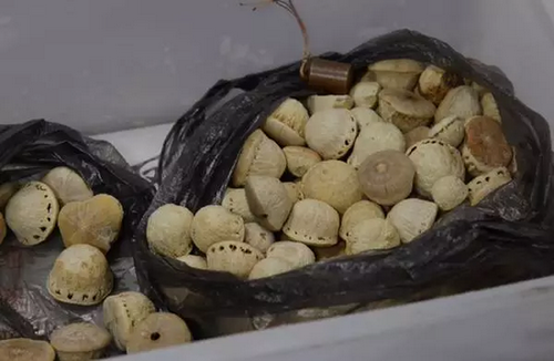 一斤半水果要价6000元！小伙子稀里糊涂居然买了