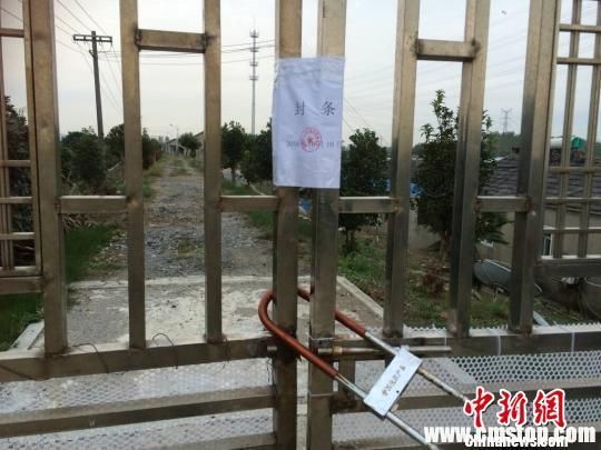 南京眼镜蛇幼蛇逃逸曝光40小时，当地居民家家户户石灰封门窗。 李珂 摄