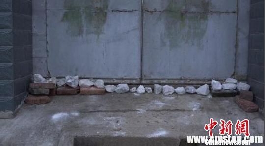 南京眼镜蛇幼蛇逃逸曝光40小时，当地居民家家户户石灰封门窗。 李珂 摄