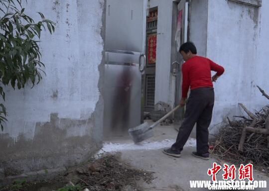 南京眼镜蛇幼蛇逃逸曝光40小时，当地居民家家户户石灰封门窗。 李珂 摄