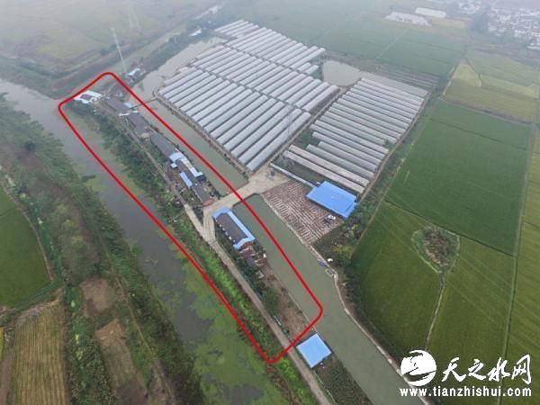 12日上午，位于六合区雄州街道山北社区村旁岩叶组山北河河堤上的一家养殖场，与石庙村仅一河之隔。本文图片均为澎湃新闻见习记者 赖鑫琳 图