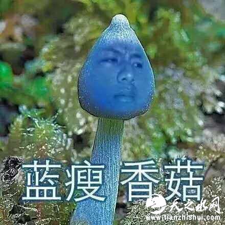 2.“蓝瘦香菇”的引申义被用来做营销。例如浙江大学医学院附属第一医院的公号是这样玩的：
