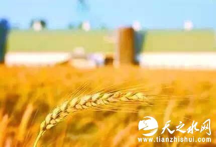 亟待加快农业供给侧改革