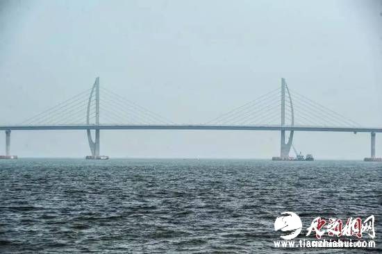 过了6公里,能够看到桥塔像“海豚”的桥——江海直达船航道桥,会让你想到中华白海豚。
