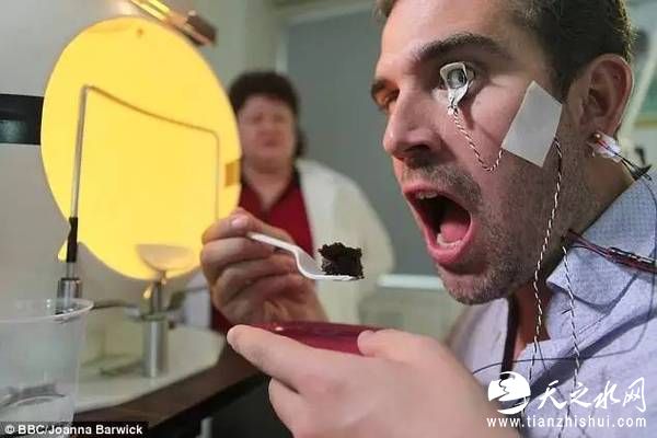 糖和脂肪哪个会让你变胖？朋友圈热传的文章结论惊人！但真相却是&hellip;&hellip;