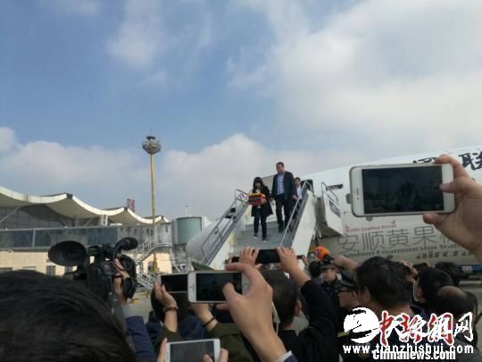 图为火海救人英雄王锋骨灰抵达南阳机场。 董飞 摄