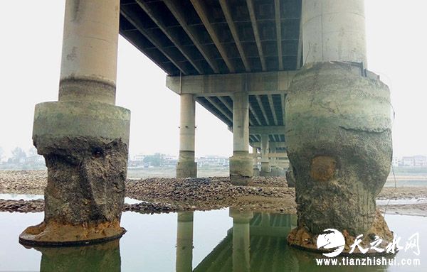 2016年10月15日，湖南省张家界市慈利县，澧水大桥桥墩桩基“伤痕累累”如遭“虫蛀”。 东方IC 图