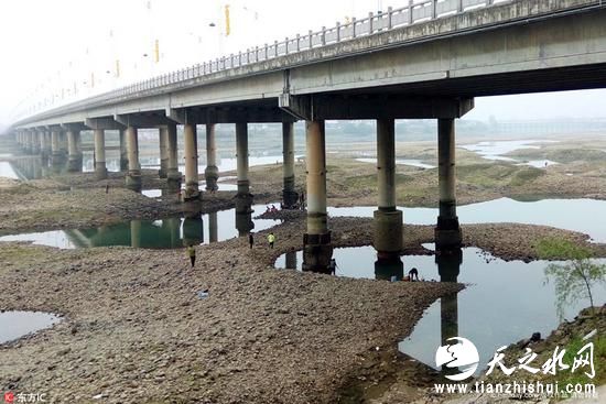 湖南大桥建成六年桥墩如遭虫蛀