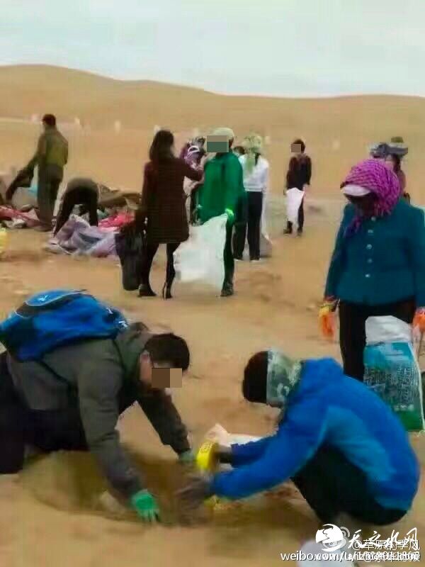 多人正在将埋在沙漠里的垃圾刨出。 本文图片均为@京华时报 图