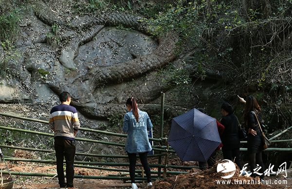 眉山市彭山区江口镇石龙村的石龙，被当地村民认为与流传的“寻银决”有关。 东方IC 资料图