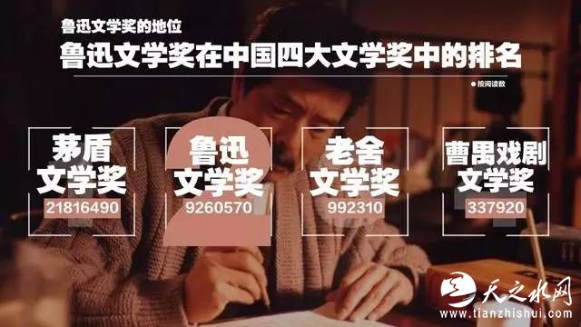 鲁迅文学奖关注度不如茅盾文学奖，而且落差巨大。按照鲁迅与茅盾在文学史上的地位来看，似乎有点不成比例，但这是有客观原因的。首先是因为茅盾文学奖是全国文学界分量最重的奖，奖金额度也最高；鲁迅文学奖只是中短篇、散文、杂文、报告文学等类“小级别”奖，总体分量上与人们观念中长篇小说的分量不对等，这与国际上“诺贝尔文学奖”的情况类似，甚至更偏。