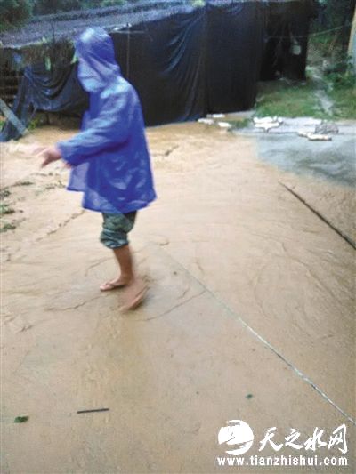 周炳耀留下的最后一张照片。9月15日，他刚刚清理完一处菇棚，被村民无意间抓拍。几分钟后，周炳耀不幸落水殉职。张华忠 摄