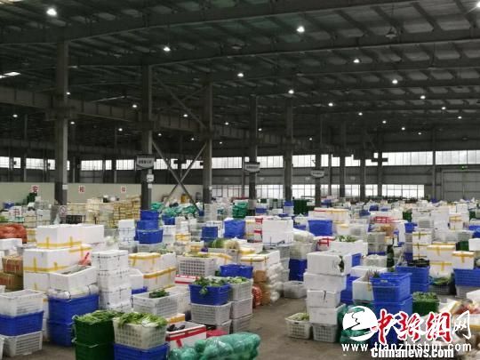 “莎莉嘉”给海口带来较强风雨，有胸径较粗的大树倒下砸到路边车辆。 符策伦 摄