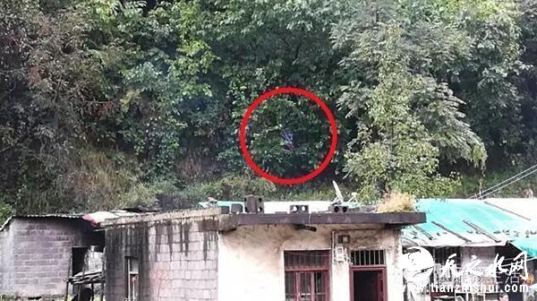 云南镇雄初三女生放学途中死亡陈尸山林，警方正查是否涉刑案