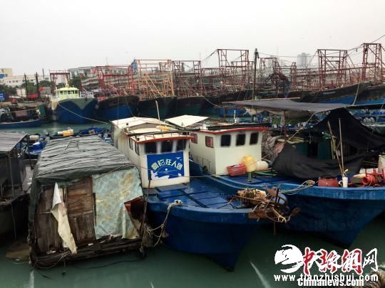 渔船回港避风。 翟李强 摄