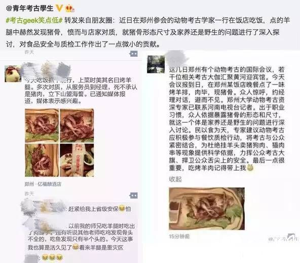 大写的服气！动物考古学家靠一块骨头获饭店免单！你的专业能么？