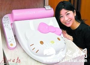 曾经风靡一时的日本马桶盖。