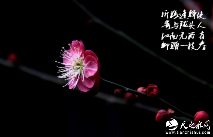 E9D5OF4(F8{TH8H@_TMV$G8